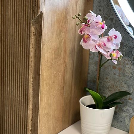 Plumbird Boutique & Apartment Ρώμη Εξωτερικό φωτογραφία