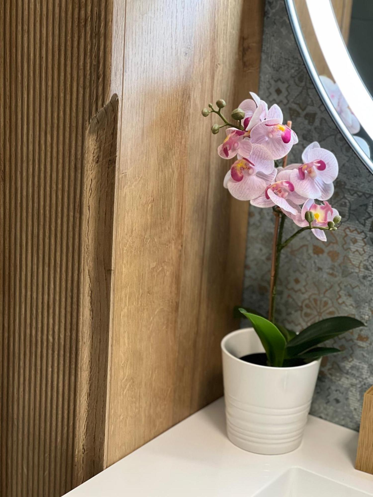 Plumbird Boutique & Apartment Ρώμη Εξωτερικό φωτογραφία